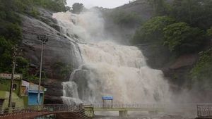 நெல்லை, தென்காசியில் கன மழை- நிரம்பி வழியும் அணைகள் - குற்றால அருவிகளில் வெள்ளம் 