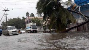 கன்னியாகுமரியில் நீடிக்கும் கனமழையால் வெள்ளம் - ஆயிரக்கணக்கான ஹெக்டேர் விளை நிலங்கள் மூழ்கின 