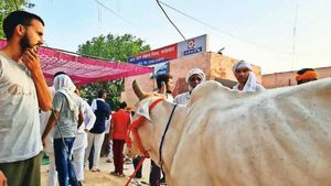ஹரியானாவில் திடீர் பரபரப்பு..பசுவுடன் போலீஸ்நிலையத்தில் விவசாயிகள் முற்றுகை..டெல்லி நோக்கியும் பேரணி