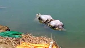 மிதந்து வந்த சடலங்கள்.. நாய்கள் குதறிய கொடுமை.. கங்கை நீரில் தொற்று இல்லையாம்.. வந்தது ஆய்வு ரிசல்ட்