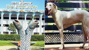 மதுரையில் வீடுகளில் நாய், மாடு, ஆடு வளர்த்தால் இனி வரி... மாநகராட்சி அறிவிப்பு 