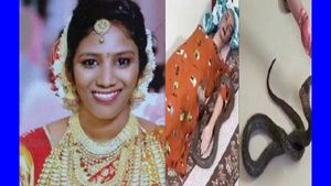 கட்டிலில் பொம்மை..  நிஜ பாம்பை ஏவி கடிக்க செய்து...பெண் கொலையில் போலீஸாரின் சூப்பர் விசாரணை