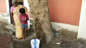 வாகை மரத்திலிருந்து குடம் குடமாக கொட்டிய தண்ணீர்.. ஆச்சரியப்பட்ட மக்கள்.. மாநகராட்சி விளக்கம் இதோ! 