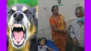 47 பேரை.. ஒரு மணி நேரத்தில் கடித்து குதறிய வெறிநாய்.. அலறியடித்து ஓடிய மக்கள்.. சோளிங்கர் அதிர்ச்சி
