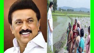 வயலில் இறங்கிய முதல்வர் ஸ்டாலின்.. 