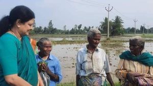 நல்லா இருக்கீங்களாமா?.. வயல்வெளியில் வேலை செய்த பெண்களிடம் நலம் விசாரித்த சசிகலா! 