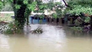 தொடர் மழையால் குற்றால அருவிகளில் பெருவெள்ளம்... கடைகள் மூழ்கின - கோவிலுக்குள் தண்ணீர் புகுந்தது 