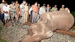  கோவையில் ரயில் மோதி.. 3 யானைகள் உயிரிழந்த விவகாரம்..  ரயில் ஓட்டுநர் மீது வழக்குப்பதிவு