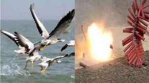  பறவைகளுக்காக பட்டாசு வெடிக்காத கிராமம்... மயிலாடுதுறை அருகே ஆச்சரியம்..! 