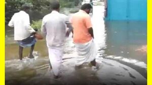 வேலூர்: 10 வருடங்களுக்கு பிறகு நிரம்பிய சதுப்பேரி.. ஊருக்குள் புகுந்த வெள்ளம்.. தத்தளிக்கும் மக்கள்