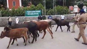 'ஓரம் போ'.. நடுரோட்டில்.. சட்டென குச்சியை எடுத்து மாடுகளை ஓட்டிய சப்-இன்ஸ்பெக்டர்.. வைரல் வீடியோ! 