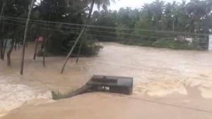குமரியில் கனமழை.. தடிக்காரங்கோணம் பகுதியில் தொட்டிப்பாலம் நிரம்பி வழிந்தோடும் வெள்ளம்.. வீடியோ 