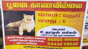 இங்க என்ன சொல்லுது.. ஜெசி, ஜெசின்னு சொல்லுதா.. கோவையே வியந்து பார்க்கும் போஸ்டர் 