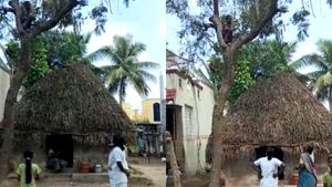 இன்னுமாப்பா தடுப்பூசின்னா பயம்? தப்பியோடி மரத்தில் ஏறிய இளைஞர்.. விரட்டி ஓடிய சுகாதார துறை ஊழியர்கள்