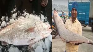 ப்பா ஒரே மீன்தான்.. லட்சாதிபதியான நாகப்பட்டினம் மீனவர்.. வியக்க வைக்கும் சம்பவம்- எப்படி ஏலம் போனது? 