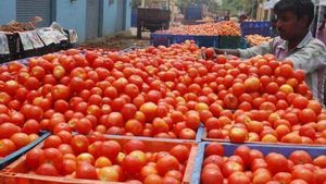 தமிழ்நாடு மட்டுமல்ல கேரளா, கர்நாடகாவிலும் உச்சத்தை எட்டிய தக்காளி 1 கிலோ தக்காளி ரூ.160 