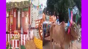 மஞ்சள் நீராட்டு விழா.. பறையிசையுடன் மாட்டு வண்டியில் ஊர்வலம்.. விருதாச்சலத்தை அசத்திய தாய்மாமன்கள்