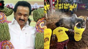 முடிஞ்சா தொட்டுப் பாரு! நின்று விளையாடிய முதலமைச்சர் ஸ்டாலின் காளை! பாலமேடு ஜல்லிக்கட்டு ருசிகரம்! 