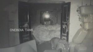  4-வது நாள்... கோவையில், குடோனுக்குள் வனத் துறையினருக்கு தண்ணி காட்டும் சிறுத்தை.. முடியல!
