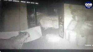 3 நாளாச்சு.. முடியல.. கோவையில் குடோனுக்குள் புகுந்த 'மாயாஜால' சிறுத்தை.. பரபரப்பில் மக்கள்