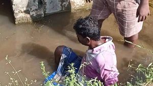 தண்ணீரில் மிதந்த 