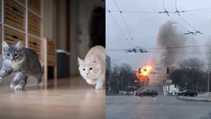 Cat-டுக்கு Gate போட்ட உலக நாடுகள்.. ரஷ்யாவை எப்படி மடக்கியிருக்காங்க பாருங்க!