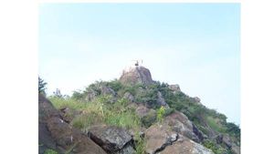 செல்போன் டவரே கிடைக்காத ஜருகுமலை.. சிறுதானியங்கள் நிறைந்த கஞ்சமலை.. ஆரஞ்ச் விலையும் சேர்வராயன் 