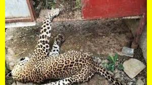 இப்ராஹிம் வீட்டில் ஒரே அதிர்ச்சி.. கோழிக்கூண்டிற்குள் 