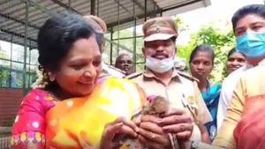 ஹலோ ஹவ் ஆர் யூ? உங்களை நல்லா பாத்துக்கறாங்களா? அழகா இருக்கு! ஆந்தையாரை நலம் விசாரித்த தமிழிசை 