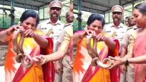 என்னது இது? பாம்பா? எங்க கொடுங்க.. அப்படியே லாவகமாக வாங்கிய தமிழிசை.. சிங்கப்பெண்ணே! - வீடியோ 