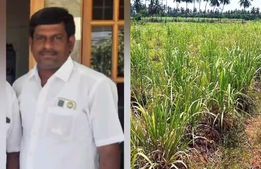 ஓடை நீர்வழித்தடத்தை ஆக்கிரமித்த திமுக மாவட்ட கவுன்சிலர்! 1.50 ஏக்கர் நிலத்தை மீட்ட அதிகாரிகள் 