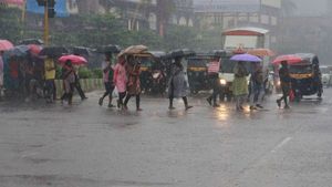 நீலகிரியில் கொட்டித்தீர்க்கும் கனமழை - ஊட்டி உள்ளிட்ட 4 தாலுகா பள்ளிகளுக்கு இன்று விடுமுறை 