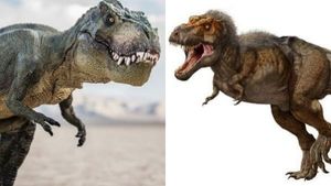  எல்லாம் 