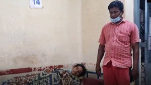  ஆட்டை கடித்து குதறிய நாய்.. பெண் உரிமையாளரை வெளுத்து வாங்கிய பொதுமக்கள்- திருப்பத்தூரில் டென்ஷன்!