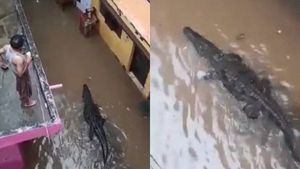  மத்திய பிரதேசத்தில் கனமழை.. தெருக்களில் வெள்ளம் மட்டுமல்ல.. முதலையும் புகுந்ததால் பதறிய மக்கள்!