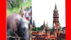 காட்டு பகுதிகளில் கரண்ட் கம்பிகள்.. தமிழக அரசுக்கு முக்கிய உத்தரவு பிறப்பித்த சென்னை ஹைகோர்ட்..! 