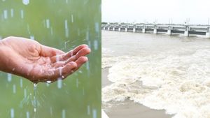 அடை மழையால் தமிழகத்தில் நிரம்பி வழியும் அணைகள்..ஆர்ப்பரிக்கும் அருவிகள்..தெறித்து ஓடும் ஆறுகள் 