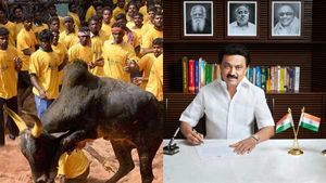  ஜல்லிக்கட்டுக்கு  தனி மைதானம்  உருவாக்கும் ஸ்டாலின்! - நாட்டு மாடுகளைக் காப்பதன் பின்னணி 