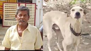 திருட வந்த வட மாநில இளைஞர்.. சட்டுன்னு மடக்கி அப்படியே 2 மணி நேரம் உட்கார வைத்த நாய்.. பல்லடத்தில்!