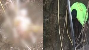 ஜாக்கிரதையாக இருக்க வேண்டாமா? கிணற்றில் விழுந்த மலைப்பாம்பு.. மீட்கச் சென்றவருக்கு நேர்ந்த விபரீதம் 