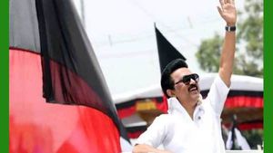 பிளானே இதான்.. சொன்னதை செய்த ஸ்டாலின்.. பள்ளி மாணவர்களுக்கு காலை சிற்றுண்டி திட்டம்.. நாளை துவக்கம்