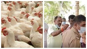 கொத்து கொத்தாய் கொல்லப்பட்ட கோழிகள்! ஒன்றல்ல இரண்டல்ல நான்காயிரம்! பரபர பழனி! ஓனர் போட்ட பலே திட்டம் 