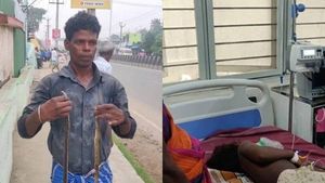 என் மகனை பாம்பு கடிச்சிடுச்சு.. 2 பாம்புகளுடன் மருத்துவமனைக்கு ஓடிய தந்தை - திருவள்ளூரில் ஷாக்! 