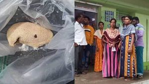  இளம் பெண் வயிற்றுக்குள் பஞ்சு! இப்படியும் செய்வாங்களா? அலட்சிய மருத்துவரால் கலகலத்த காஞ்சிபுரம்! 