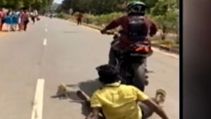 பொன்னியின் செல்வன் அல்ல.. மண்ணில் விழுந்த இளைஞன்! சீன் காட்ட நினைத்து ஜீரோவான ரோமியோ- வெளியான வீடியோ