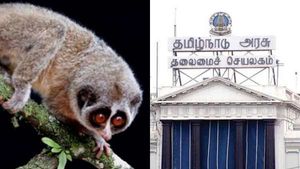 இந்தியாவின் முதல் தேவாங்கு சரணாலயம்.. அழிந்து வரும் இனத்தை காக்க தமிழக அரசு நடவடிக்கை! 