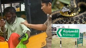 இந்த பாம்புதான் கடிச்சிடுச்சு.. கவரில் போட்டு போலீஸ் ஸ்டேஷன் வந்த போதை ஆசாமி.. பரபரத்த கிருஷ்ணகிரி 