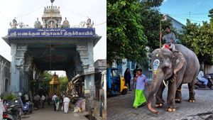 அதிகாலையில் வாக்கிங் போன லட்சுமி யானை..மயங்கி விழுந்து மரணம்..மணக்குள விநாயகர் கோவிலில் சோகம் 