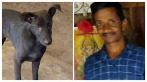 கர்நாடகாவின் ரியல் 'சார்லி 777'... அடர் காட்டில் மயங்கிய உரிமையாளர்.. கெத்தாக மீட்ட வளர்ப்பு நாய் 