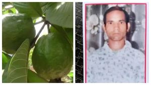 கொய்யாப்பழம் பறிக்க நினைத்ததற்கு இப்படியா.. அடித்தே கொல்லப்பட்ட தலித் இளைஞர்.. உபியில் கொடூரம்! 